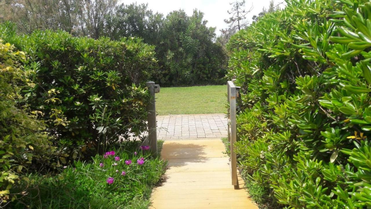 Sea Beach Relax Tirrenia Exterior photo